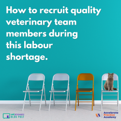 How To Recruit Quality Veterinary Team Members During This Labour Shortage